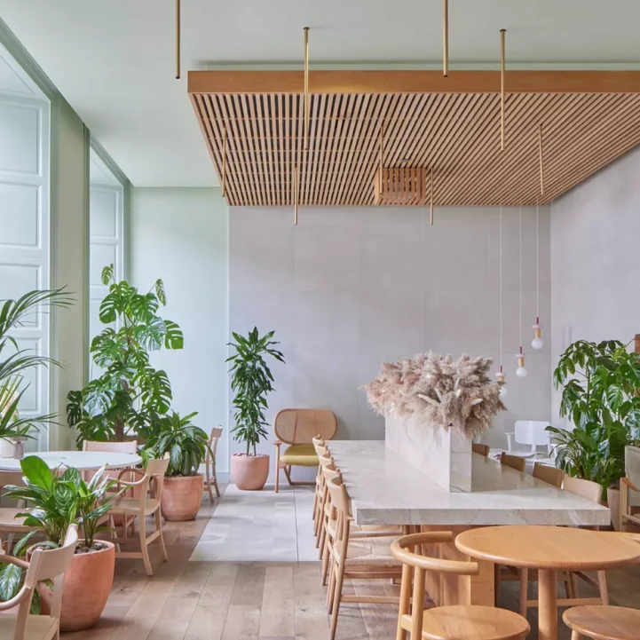 edimbourg 2026 eden locke groundfloor 220224 16